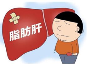 B族和保肝护肝